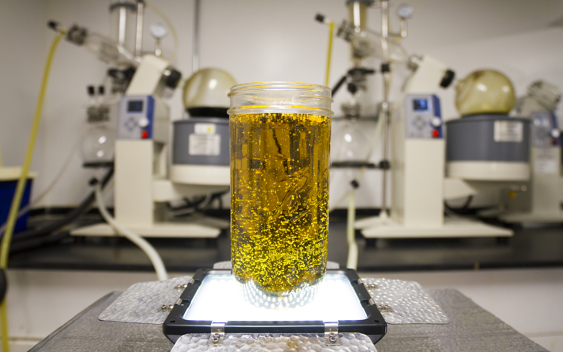 THC Oil Extraction